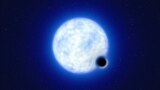 An artist’s impression showing what the binary star system VFTS 243 – containing a black hole and a large luminous star orbiting each other - might look like if we were observing it up close is seen in this undated handout image.
ESO/L. Calcada/Handout via REUTERS 