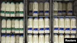 FILE - Milk cartons are displayed at an Asda supermarket in London, Aug. 17, 2015. 