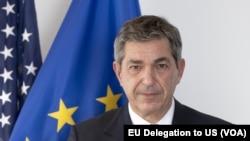 Посол Европейского Союза в США Ставрос Ламбринидис (архивное фото)