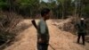 Report: Brazil Officials Ignore Deforestation