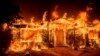 آتش‌سوزی گسترده جنگلی در کالیفرنیا؛ هزاران نفر خانه‌ خود را ترک کردند