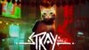 วิดีโอเกมแมว ‘Stray’ ส่งอานิสงส์ช่วยแมวจรจัดตัวจริง