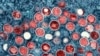 中国将猴痘作为与新冠病毒同等级别的疾病处理