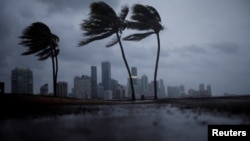 Ураган в Майами, Флорида