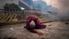 A Buddhist nun falls next to a barricade after inhaling tear gas during a protest outside police headquarters in Colombo, Sri Lanka.&nbsp;&nbsp;(AP Photo/Eranga Jayawardena)