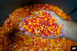 A mix of colored vinyl pellets that will be made into records is stored in a bin at the United Record Pressing facility Thursday, June 23, 2022, in Nashville, Tenn. Colored pellets are used by themselves or in a variety of combinations to create colorful
