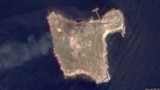 Остров Змеиный в Черном море, снятый со спутника (архивное фото)