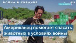 Оператор дронa спасает из-под завалов в Украине брошенных питомцев 