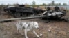 Около 300 военных из Дагестана отказались воевать в Украине