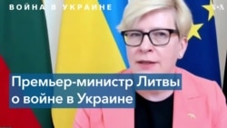 Ингрида Шимоните: «Мы наблюдаем опасный уровень одурманивания людей в России» 