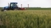 Глава Минсельхоза США: временные зернохранилища станут спасением для украинского экспорта