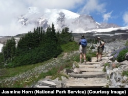 People begin a hike at Mount Rainier National Park