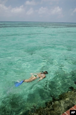 Snorkeling in the waters of Dry Tortugas National Park