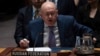 (FILE) Vasily Nebenzya, Ambassador and Permanent Representative of Russia to the United Nations, speaks during a Security Council meeting at United Nations headquarters.