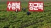 북한 곡물가 춘궁기 지나서도 가파른 상승세..."봄 가뭄·이른 장마 영향"