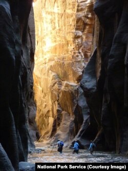 Hikers walk in the Virgin River, in The Narrows