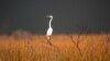 Everglades National Park: 'The Liquid Heart of Florida'