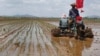 CSIS "올 북한 곡물 생산 평년 수준 못 미쳐...북동부 식량 공급 악화 우려"