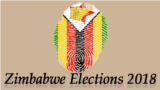 Zimbabwe Election Homepage Graphic 