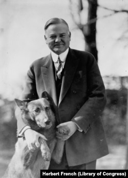 Herbert Hoover around 1928 with his pet Belgian Shepherd dog, King Tut.