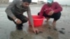 Pakistani Wildlife Team Takes Care of Green Turtle Babies 
