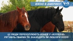 Приречених на смерть рятують волонтери