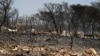 ARCHIVO - Esta fotografía del 19 de julio de 2023 muestra árboles quemados y un vehículo calcinado después de un incendio forestal, en Mandra, al oeste de Atenas.