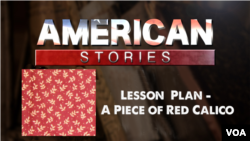 Lesson PLan - A Piece of Red Calico