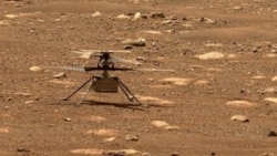 Quiz - NASA Extends Ingenuity Helicopter Mission on Mars