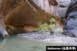 Hikers in The Narrows