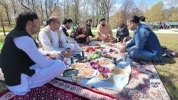 زندگی در امریکا: میله عیدی افغانها در ایالت مریلند
