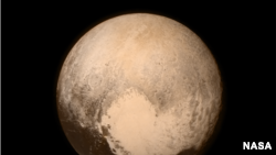 NASA image of Pluto showing heart shaped Tombaugh Regio. (NASA/Johns Hopkins University)