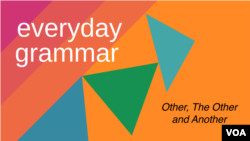 Everyday Grammar: Other, The Other and Another