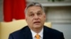 Орбан предложил провести референдум по вопросам, связанным с ЛГБТ