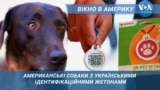 Український паспорт для Американських собак