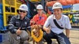 Oil rig workers take a picture with Boonrod, the dog they rescued at sea. (Photo courtesy Vitisak Palayaw via Facebook)
