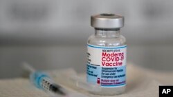 ARHIVA - Vakcina kompanije Moderna (Foto: AP/Matt Rourke)