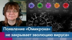 Анча Баранова: «Появление «Омикрона» не закрывает эволюцию вируса»