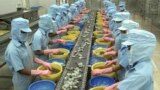 Công nhân chế biến tôm tại hãng Kim Anh ở tỉnh Sóc Trăng (ảnh tư liệu, tháng 1/2004)