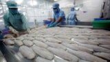 Công nhân chế biến cá fillet ở Công ty Biển Đông, Cần Thơ, Việt Nam (ảnh tư liệu, 2017; REUTERS/Kham)