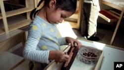 In this Oct. 12, 2017 photo a child in a combined pre-kindergarten and kindergarten Wampanoag language immersion class removes kernels from an ear of corn at the Wampanoag Tribe Community and Government Center, in Mashpee, Mass. 