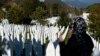 Movie About Muslim Genocide Shown in Serbia for First Time