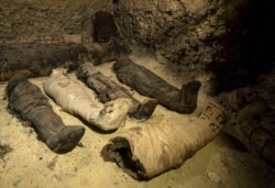 Mummies lie in a recently discovered burial chamber in the desert province of Minya, south of Cairo, Egypt, Saturday, Feb. 2, 2019.
