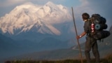 A hiker looks out onto Denali peak