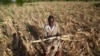 Southern Africa Drought and Hunger