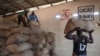 Des ouvriers empilent des sacs de fèves de cacao dans l'entrepôt d'une coopérative de cacao du village d'Hermankono, le 14 novembre 2023. (Photo de Sia KAMBOU / AFP)