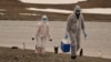 Investigadores con trajes protectores recolectan muestras de vida silvestre, donde se detectó el virus de la gripe aviar H5N1, en el Territorio Antártico Chileno, Antártida, en esta fotografía sin fecha obtenida por Reuters el 13 de marzo de 2024.