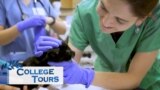 [College Tours] University of California, Davis