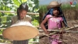 UN Reports Global Child Labor in the Rise due to Covid-19