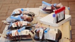 FILE — Bags of donated blood are seen at a blood-donation drive in Kampala, Uganda , on September 19, 2020. 